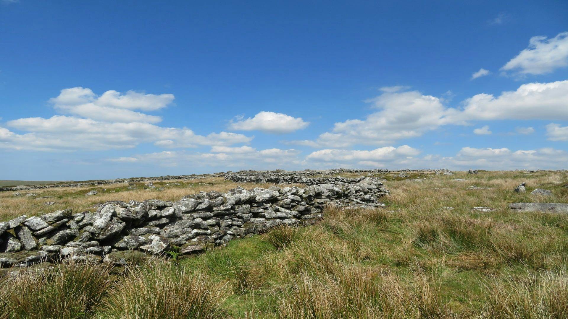 Bodmin Moor Walls. Mark Camp (1) (1)-min.jpg