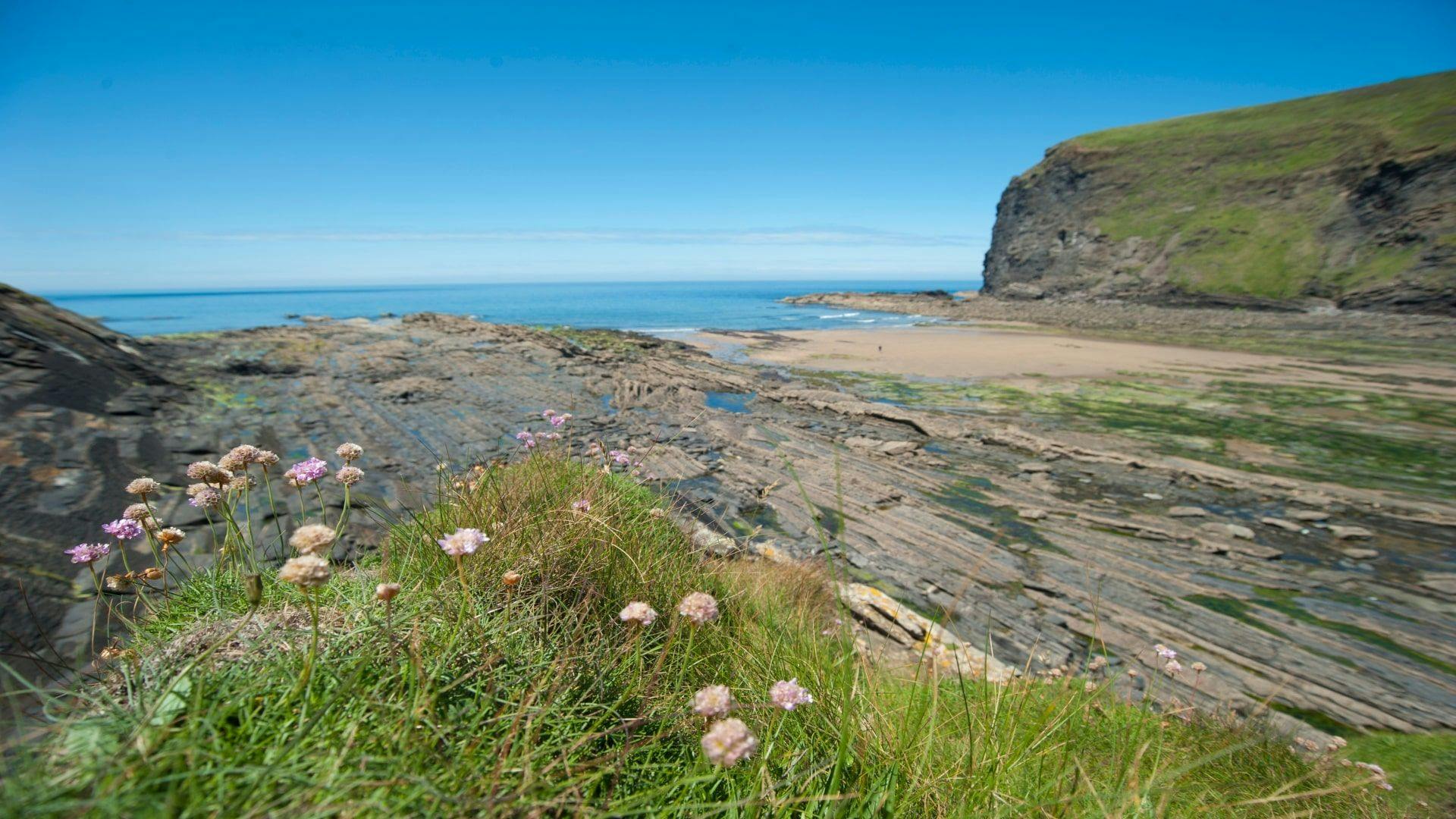 Crackington Haven, AdamGibbard (1) (1)-min.jpg