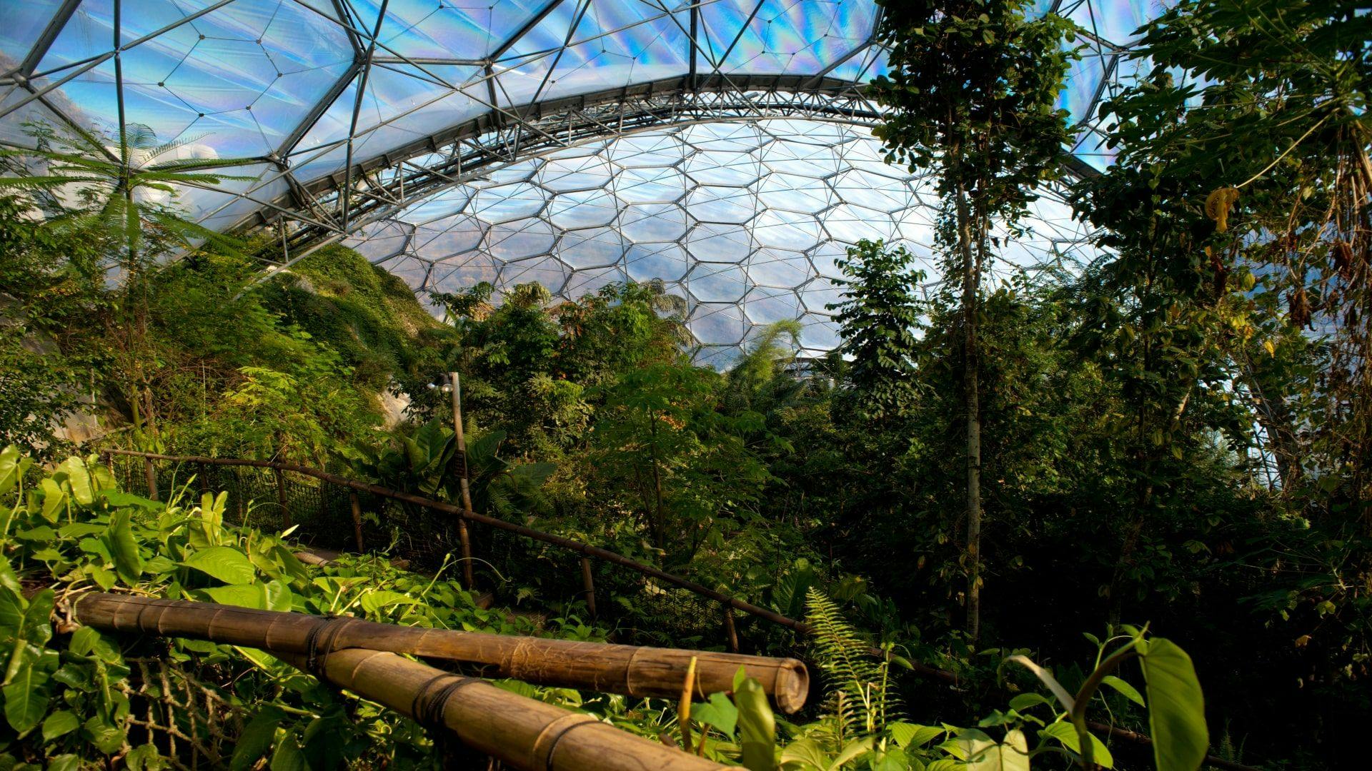 Eden Project Jungle Biome c Shutterstock VC (1)-min.jpg